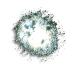 Virus